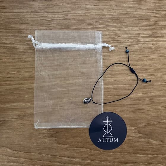 Pulseira Medalha Milagrosa